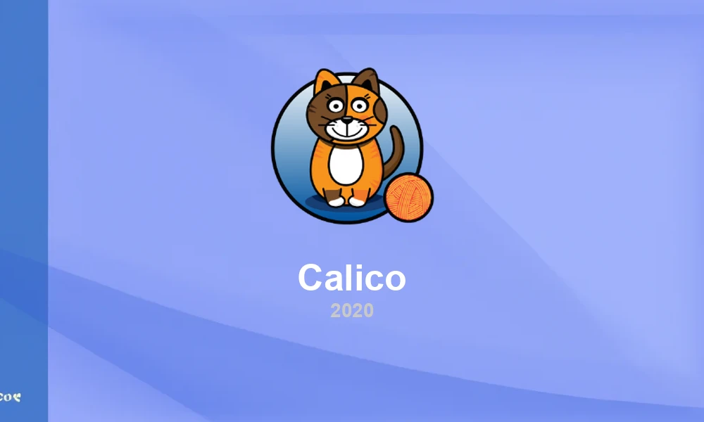 Calico 3.16: eBPF Dataplane GA for Zero-Trust